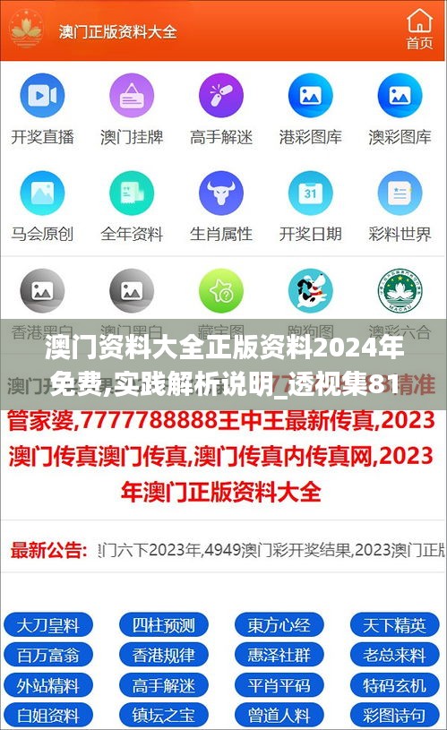 澳门资料大全正版资料2024年免费,实践解析说明_透视集81.976