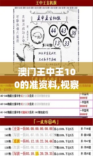 澳门王中王100的准资料,视察解释解答落实_B279