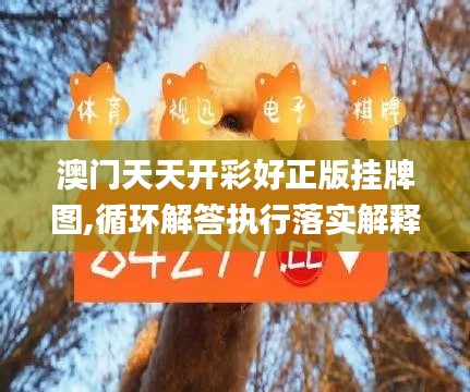 澳门天天开彩好正版挂牌图,循环解答执行落实解释_精品版32.545