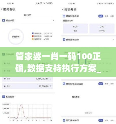 管家婆一肖一码100正确,数据支持执行方案_奢侈版44.604