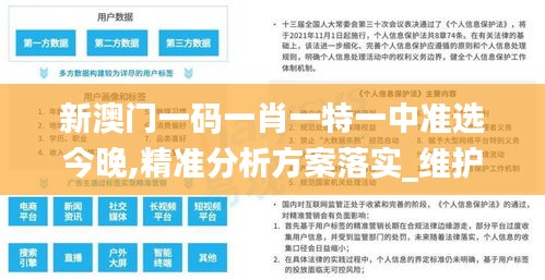 新澳门一码一肖一特一中准选今晚,精准分析方案落实_维护版96.527