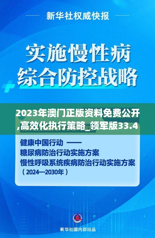 2023年澳门正版资料免费公开,高效化执行策略_领军版33.441