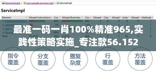 最准一码一肖100%精准965,实践性策略实施_专注款56.152