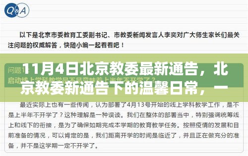 北京教委新通告下的温馨亲子活动，一场不期而遇的日常