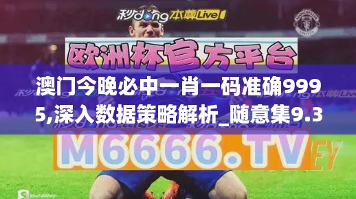 澳门今晚必中一肖一码准确9995,深入数据策略解析_随意集9.352