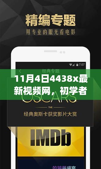 11月4日4438x视频网使用攻略，从初学者到进阶用户一网打尽