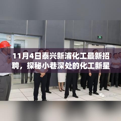 泰兴新浦化工招聘探秘，小巷深处的职业宝藏之旅