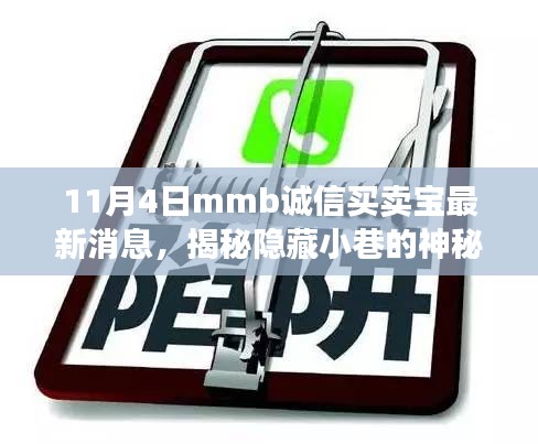 揭秘神秘宝藏，MMB诚信买卖宝最新动态与违法犯罪问题探讨