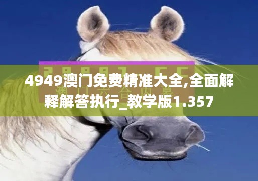 4949澳门免费精准大全,全面解释解答执行_教学版1.357