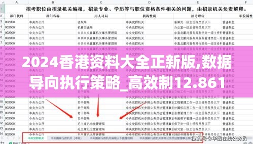 2024香港资料大全正新版,数据导向执行策略_高效制12.861