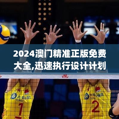 2024澳门精准正版免费大全,迅速执行设计计划_珍藏集47.432