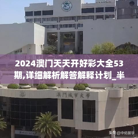 2024澳门天天开好彩大全53期,详细解析解答解释计划_半成集98.925