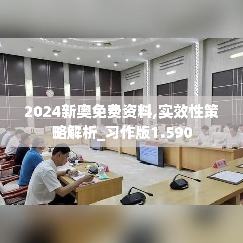 2024新奥免费资料,实效性策略解析_习作版1.590