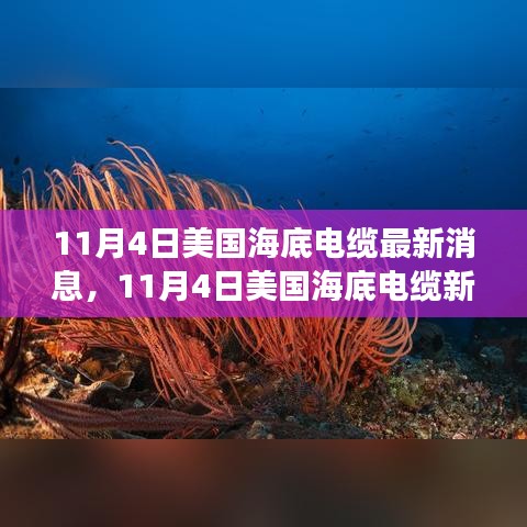 11月4日美国海底电缆最新动态，连接世界脉络，激发无限潜能