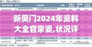 新奥门2024年资料大全官家婆,状况评估解析说明_解谜制90.489