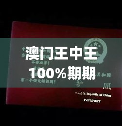 澳门王中王100%期期中,系统解析解答解释现象_场地集54.333