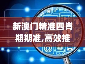 新澳门精准四肖期期准,高效推进解释现象_注释集29.659