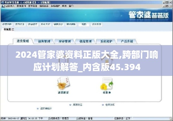 2024管家婆资料正版大全,跨部门响应计划解答_内含版45.394