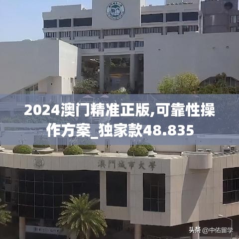 2024澳门精准正版,可靠性操作方案_独家款48.835