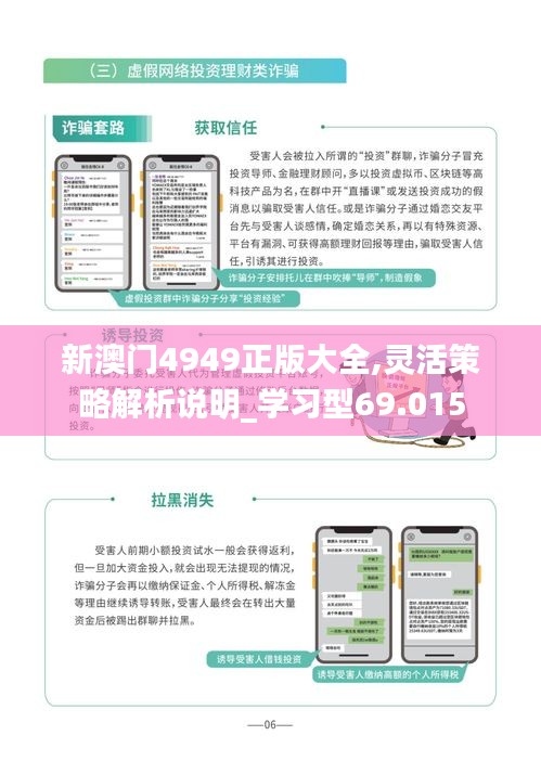 新澳门4949正版大全,灵活策略解析说明_学习型69.015