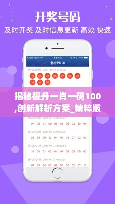 揭秘提升一肖一码100,创新解析方案_精粹版96.416