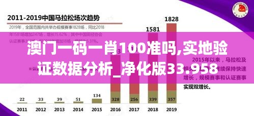 澳门一码一肖100准吗,实地验证数据分析_净化版33.958