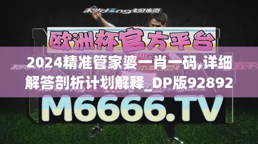 2024精准管家婆一肖一码,详细解答剖析计划解释_DP版928928.928