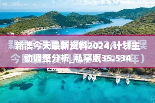 新澳今天最新资料2024,计划主动调整分析_私享版35.534