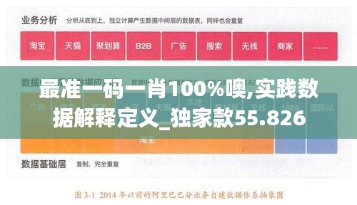 最准一码一肖100%噢,实践数据解释定义_独家款55.826