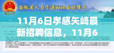 11月6日孝感矢崎最新招聘信息及其多维度解读