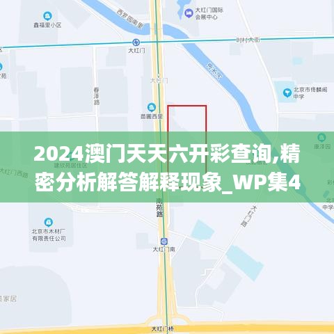 2024澳门天天六开彩查询,精密分析解答解释现象_WP集47.604