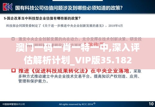 澳门一码一肖一特一中,深入评估解析计划_VIP版35.182