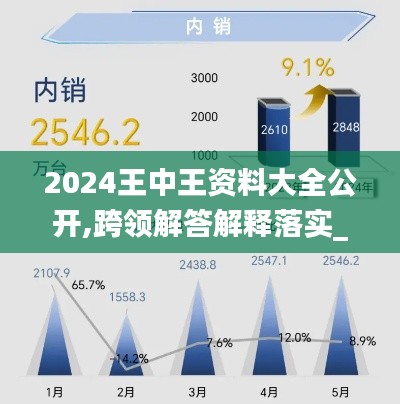 2024王中王资料大全公开,跨领解答解释落实_示例版44.410