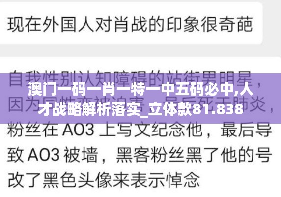 澳门一码一肖一特一中五码必中,人才战略解析落实_立体款81.838