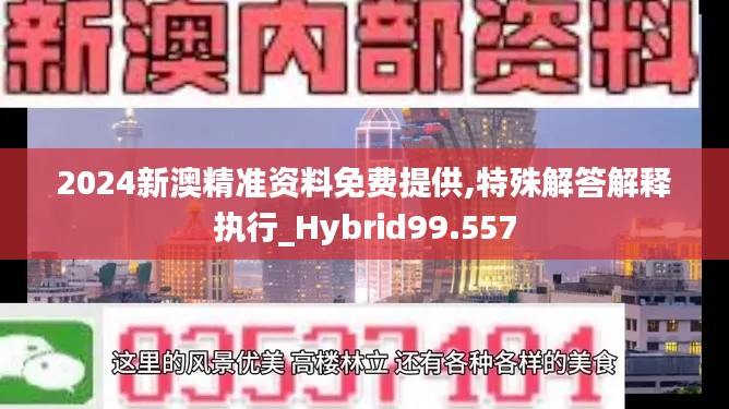 2024新澳精准资料免费提供,特殊解答解释执行_Hybrid99.557