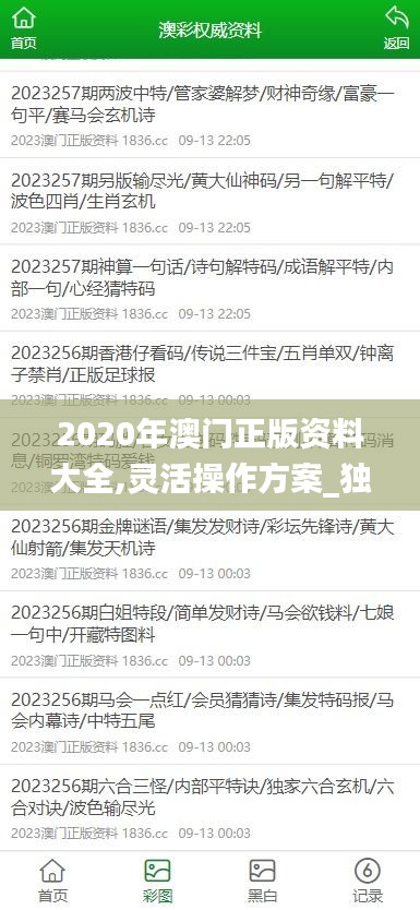 2020年澳门正版资料大全,灵活操作方案_独用版37.523