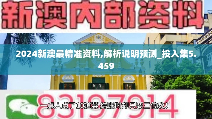 2024新澳最精准资料,解析说明预测_投入集5.459