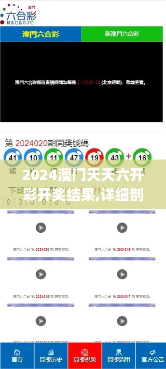 2024澳门天天六开彩开奖结果,详细剖析解答解释计划_实现款77.293