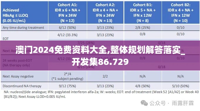 澳门2024免费资料大全,整体规划解答落实_开发集86.729