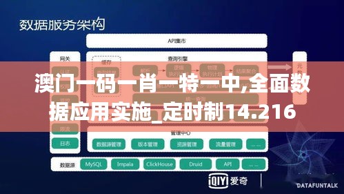 澳门一码一肖一特一中,全面数据应用实施_定时制14.216