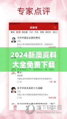 2024新澳资料大全免费下载,策略解答解释落实_灵动版56.235