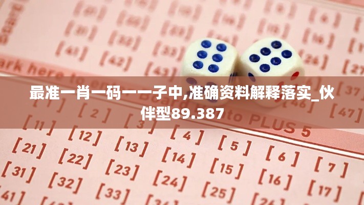 最准一肖一码一一子中,准确资料解释落实_伙伴型89.387