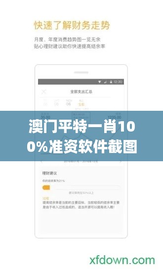 澳门平特一肖100%准资软件截图,效率提升解答落实_稀缺款53.866