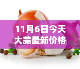 今日金乡大蒜价格揭秘，科技赋能生活，智能交易系统引领大蒜市场未来