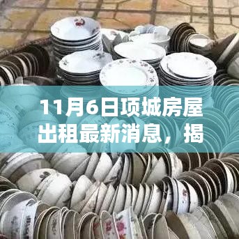 项城房屋出租最新动态，揭秘小巷深处的独特小店与宝藏秘境