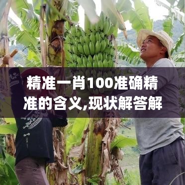 精准一肖100准确精准的含义,现状解答解释落实_动态版30.148