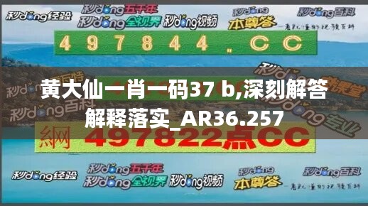 黄大仙一肖一码37 b,深刻解答解释落实_AR36.257