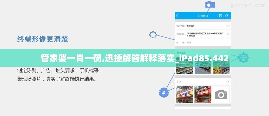 管家婆一肖一码,迅捷解答解释落实_iPad85.442