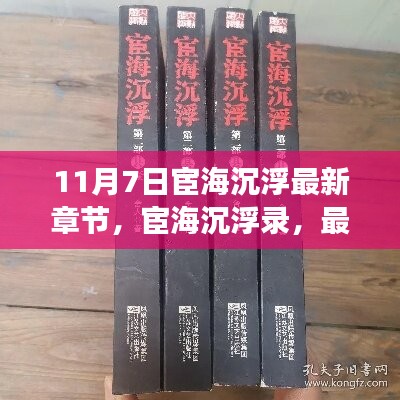 深度解读与背景剖析，宦海沉浮录最新章节及背景剖析（11月7日更新）