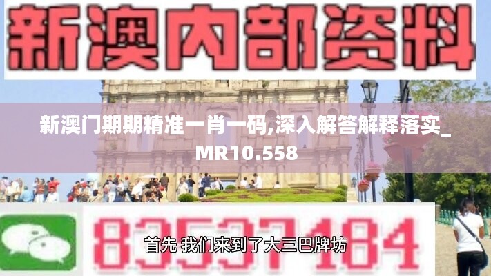 新澳门期期精准一肖一码,深入解答解释落实_MR10.558